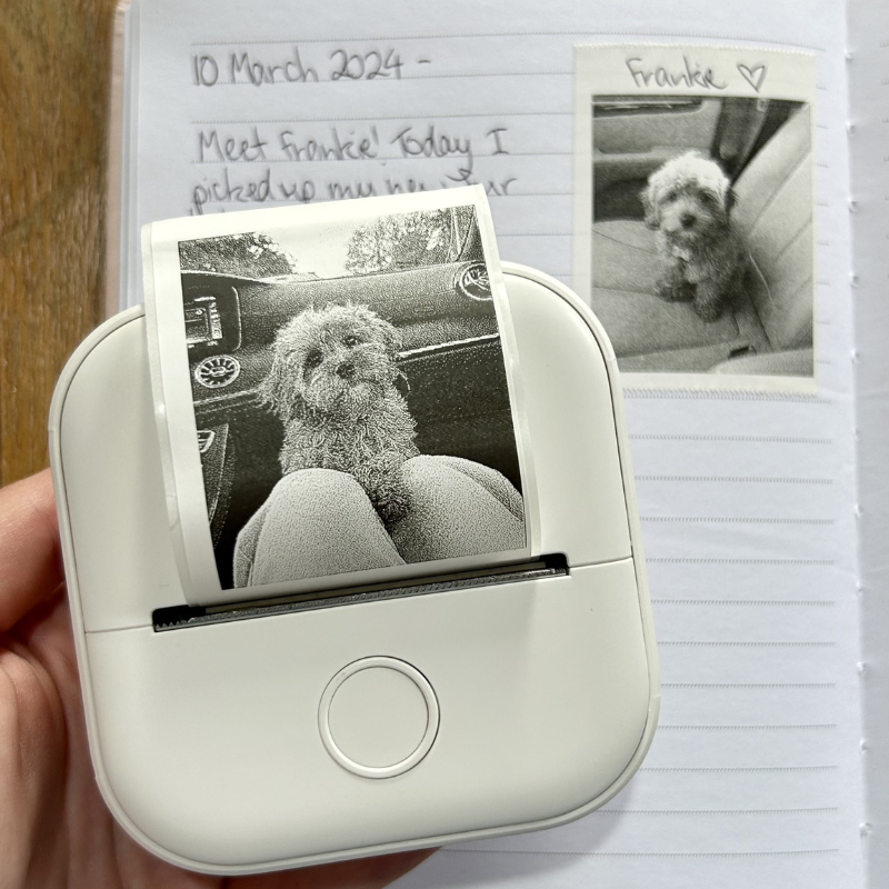 PrintBuddie™ Pocket Printer